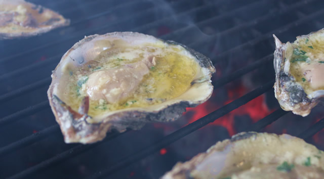 Chargrilled Oysters